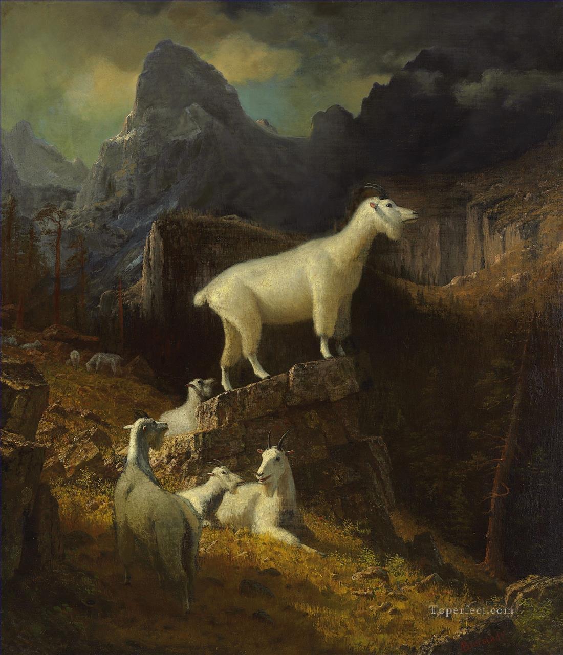 Rocky Mountain Goats Albert Bierstadt Oil Paintings